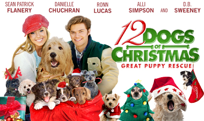 12 dogs of great puppy rescue vision inc 12 dogs of great puppy rescue vision inc